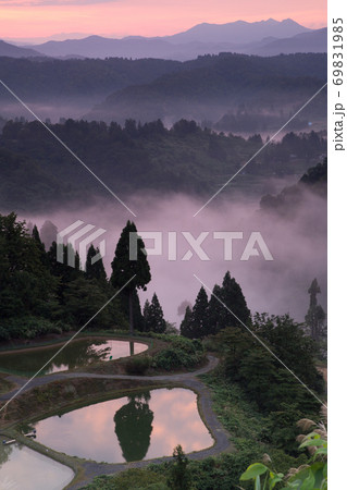 新潟県長岡市山古志　朝焼けに染まる霧と養鯉池の水面 69831985