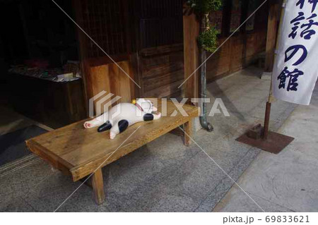 寝そべるねこ 69833621