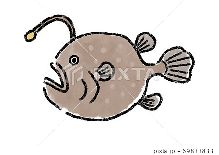 あんこう 鮟鱇 魚 手描き 筆のイラスト素材 6933