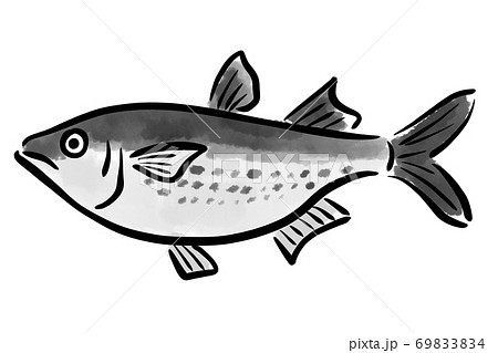 ぼら ボラ 魚 筆 手描きのイラスト素材 6934 ぼら ボラ 魚 筆 手描きのイラスト素材 6934