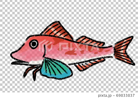 ほうぼう ホウボウ 魚 筆 手描きのイラスト素材 6937