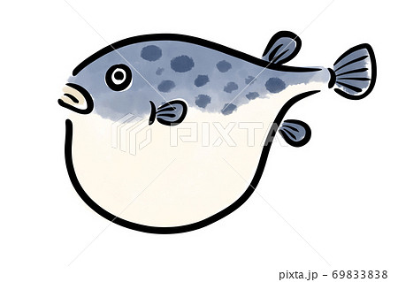 ふぐ　フグ　河豚　魚　筆　手描き 69833838