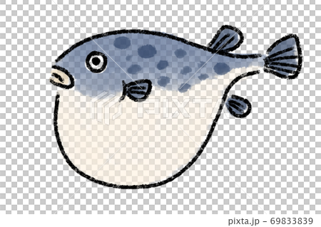 ふぐ フグ 河豚 魚 手描きのイラスト素材 6939