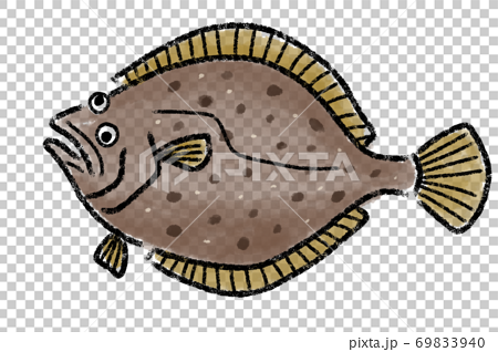 Flounder, flatfish, flatfish, hand-painted 69833940