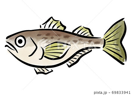 ハタハタ　はたはた　鰰　魚　筆　手描き　 69833941