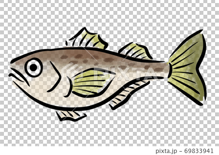 ハタハタ　はたはた　鰰　魚　筆　手描き　 69833941