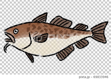 たら　タラ　鱈　手描き 69833946
