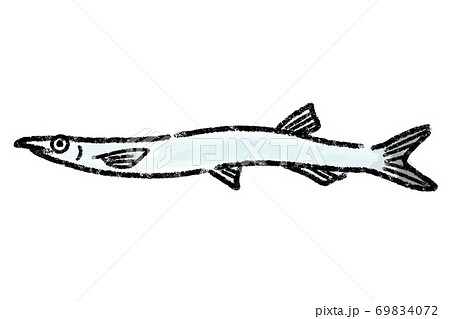 白魚 シラウオ しらうお 魚 手描き 白魚 シラウオ しらうお 魚 手描き 69834072