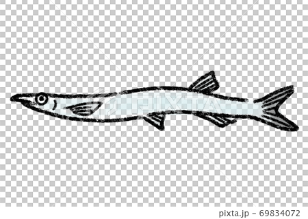 白魚 シラウオ しらうお 魚 手描き 白魚 シラウオ しらうお 魚 手描き 69834072