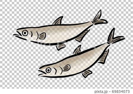 シシャモ　ししゃも　柳葉魚　魚　筆　手描き 69834073