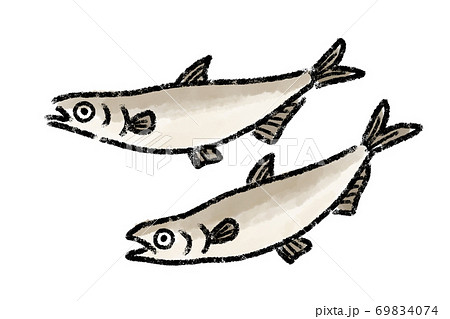 シシャモ ししゃも 柳葉魚 魚 手描きのイラスト素材