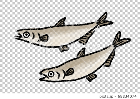 Shishamo Shishamo Yanagiha魚手繪 Shishamo Shishamo Yanagiha魚手繪 69834074