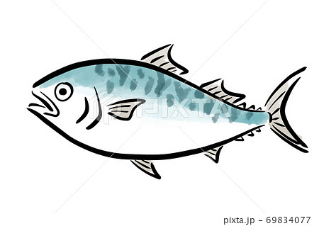 さば サバ 鯖 魚 筆 手描きのイラスト素材