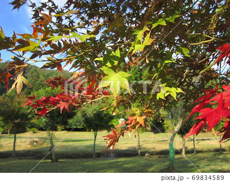 初秋 初秋 69834589