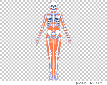 人体 69834749