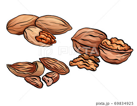 Set of colored cartoon nuts. Kit of walnut, pecan and almond. Objects separate from the background. 69834925