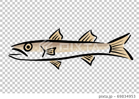 Barracuda barracuda fish hand-painted 69834953