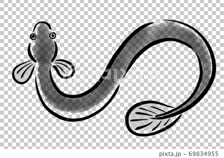 うなぎ　ウナギ　鰻　魚　筆　手描き 69834955