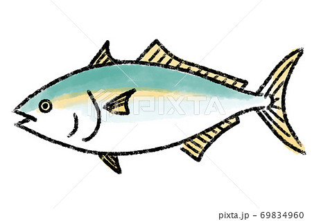イナダ ハマチ ブリ 魚 手描きのイラスト素材