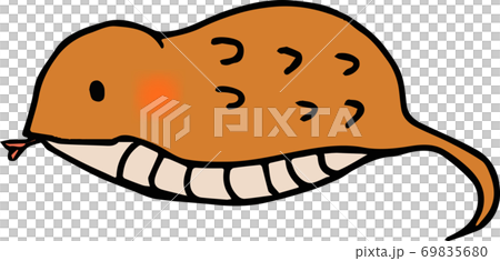 可愛いツチノコのイラスト 可愛いツチノコのイラスト 69835680