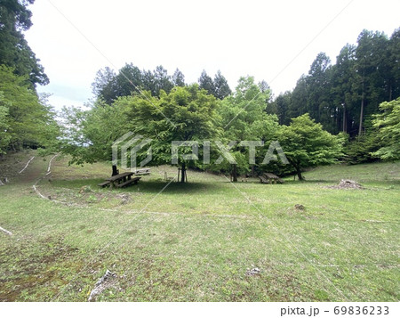 南山遊歩道　権現平 69836233