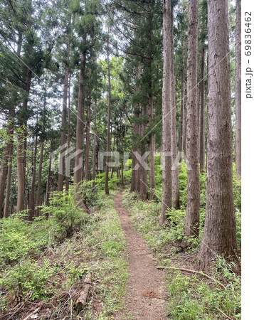 南山遊歩道 南山遊歩道 69836462