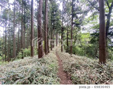 南山遊歩道 南山遊歩道 69836465