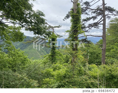 南山遊歩道 南山遊歩道 69836472