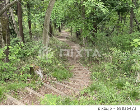 南山遊歩道 69836473