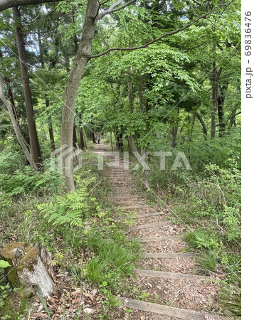 南山遊歩道 69836476