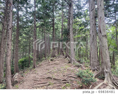 南山遊歩道 69836481