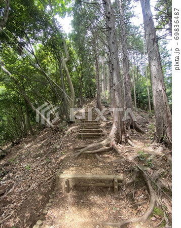 南山遊歩道 南山遊歩道 69836487