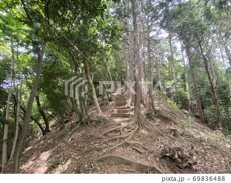 南山遊歩道 69836488