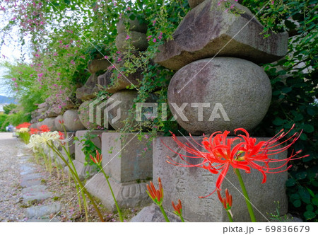 古都奈良の文化財  秋を迎えた元興寺 69836679