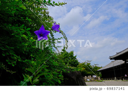 古都奈良の文化財  秋を迎えた元興寺 69837141