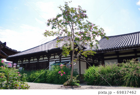 古都奈良の文化財  秋を迎えた元興寺 69837462