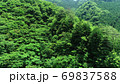 面河川深青の新緑(4K空撮切出し)、面河ブルーを求めて 69837588
