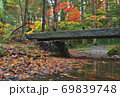 紅葉と落葉 69839748