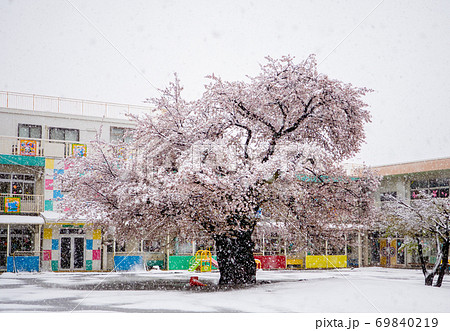 花吹雪 花吹雪 69840219