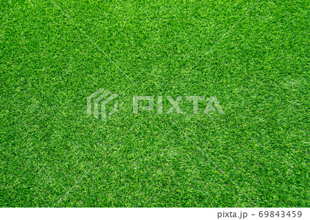 Green grass texture background Top view of bright grass garden Idea concept 69843459