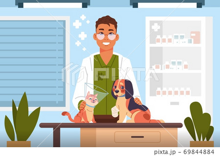 Vet examine. Cartoon veterinary doctor in clinic heals cute cats and dogs, hospital for domestic animals, consulting office interior. Scene puppy and kitten healthcare vector flat illustration 69844884