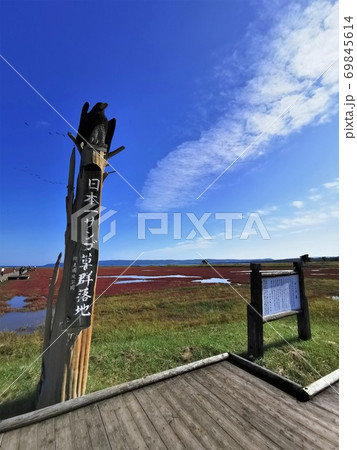 能取湖サンゴ草群落（北海道網走市卯原内） 69845614