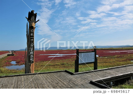 能取湖サンゴ草群落（北海道網走市卯原内） 69845617