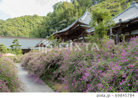 四国を代表する萩の名所　最明寺 69845784