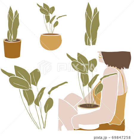 Urban jungle. Set of house plants and beautiful smiling woman . Minimal trendy illustration in flat style. Vector illustration 69847258