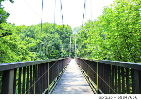 初夏の東京都立小山台緑地　つり橋 69847656