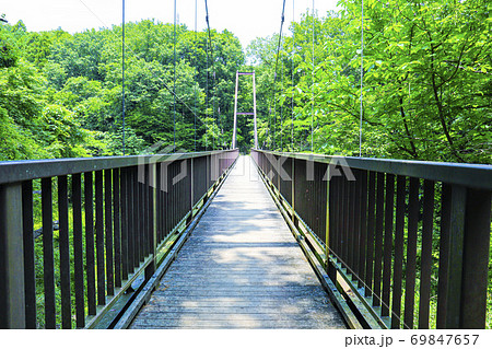 初夏の東京都立小山台緑地　つり橋 69847657