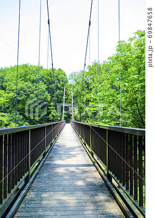 初夏の東京都立小山台緑地　つり橋 69847658