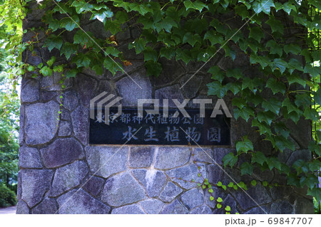 東京都神代植物公園 水生植物園 門柱 東京都神代植物公園 水生植物園 門柱 69847707