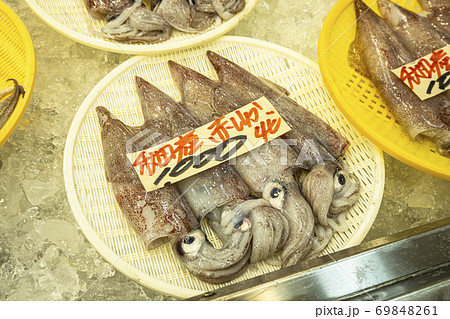魚市場 (赤いか) 魚市場 (赤いか) 69848261
